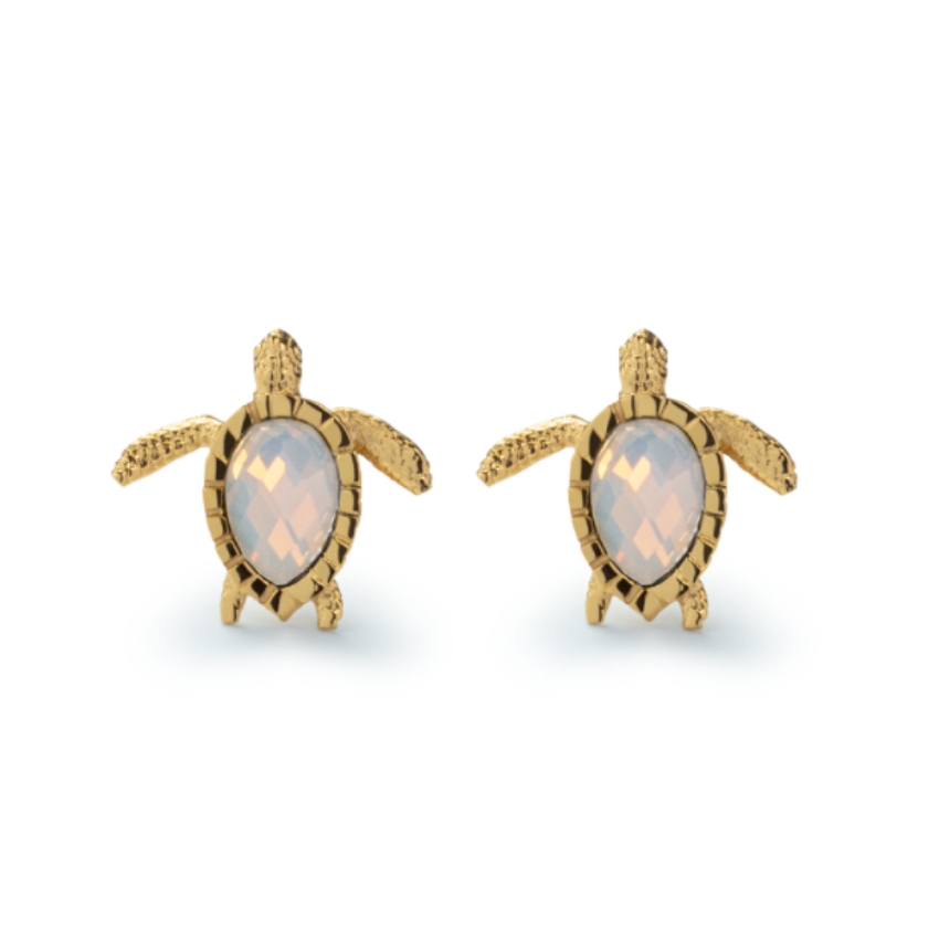 Ania Haie PH-JE-2333 Turtle White Breeze Damen Ohrringe