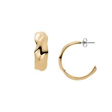Skagen SKJ1903710 Earrings Gold