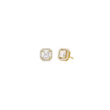 Michael Kors MKC1845710 Earrings