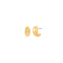 Michael Kors MKJ8606710 Gold Earring
