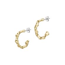 Emporio Armani EGS3333710 Gold Earring