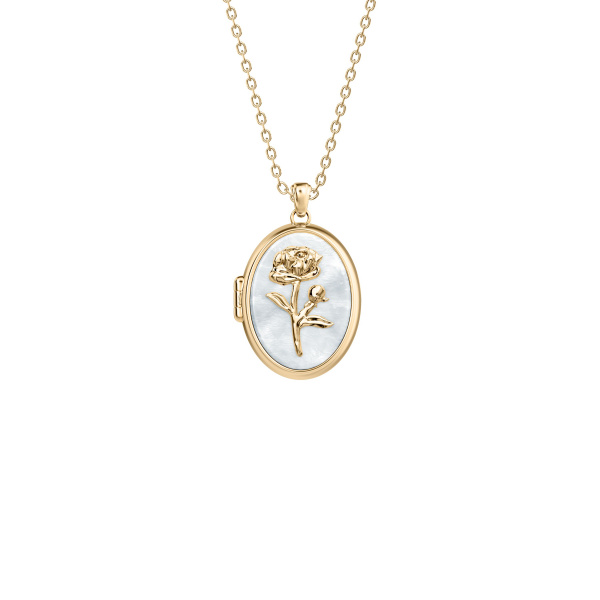 Fossil JF04976710 Sutton Damen Halskette