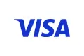 Visa Icon