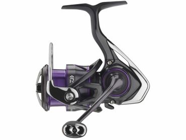 Daiwa 21 Prorex MQ LT 2000 Spinnrolle - Leichte Angelrolle Mit 6 Kugellagern, 5,1:1 Übersetzung