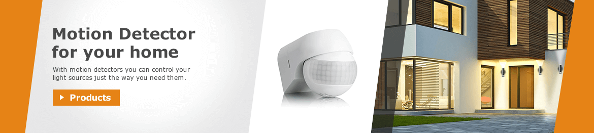 -> Motion Detector
