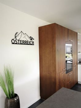1432-Design-3D-Wandbild-34-x-72-cm-oesterreich-Gebirge-Flagge-Austria-Metallbild-Wanddeko-Archtwain-Studio-Design-Industrie-Look-MD-116.jpg
