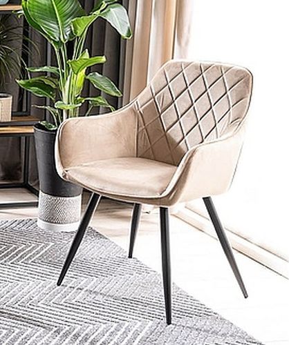 2er Set Design Esszimmerstuhl STS-111 Beige Schwarz Samt Stuhl Stühle