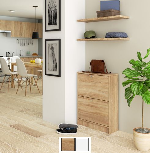 Design Schuhschrank AS-222 mit 2 Fächern 60x79x20 für 6 Paar Schuhe Schuhregal Schuhaufbewahrung Schuhkommode alt-