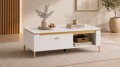 Design Couchtisch WM-9 Moderner Couchtisch mit Stauraum und offener Ablage
