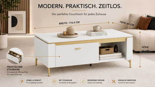 Design Couchtisch WM-9 Moderner Couchtisch mit Stauraum und offener Ablage