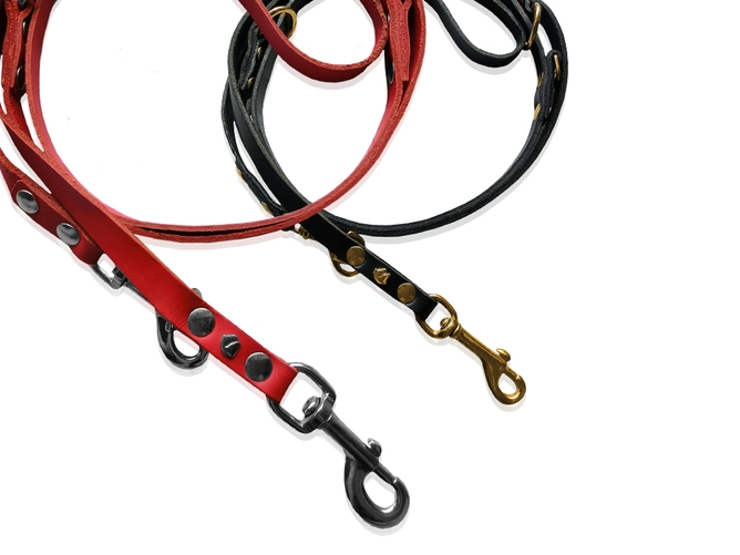 Hundeleine Basic | Le Cheval