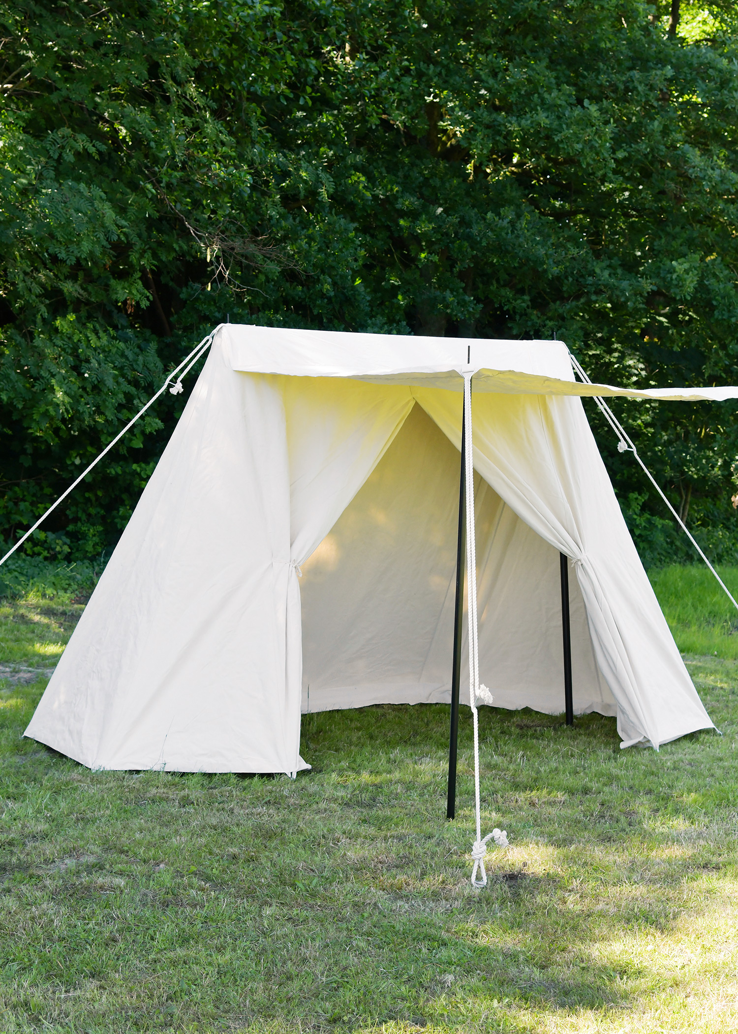 zelt für gartenparty Partyzelt kaufen 3×6 & 4×6 m – PE700, stabil