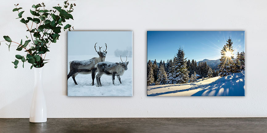 Artgalerie Bildershop Winter Bilder Schnee Landschaft Tiere Fotografie