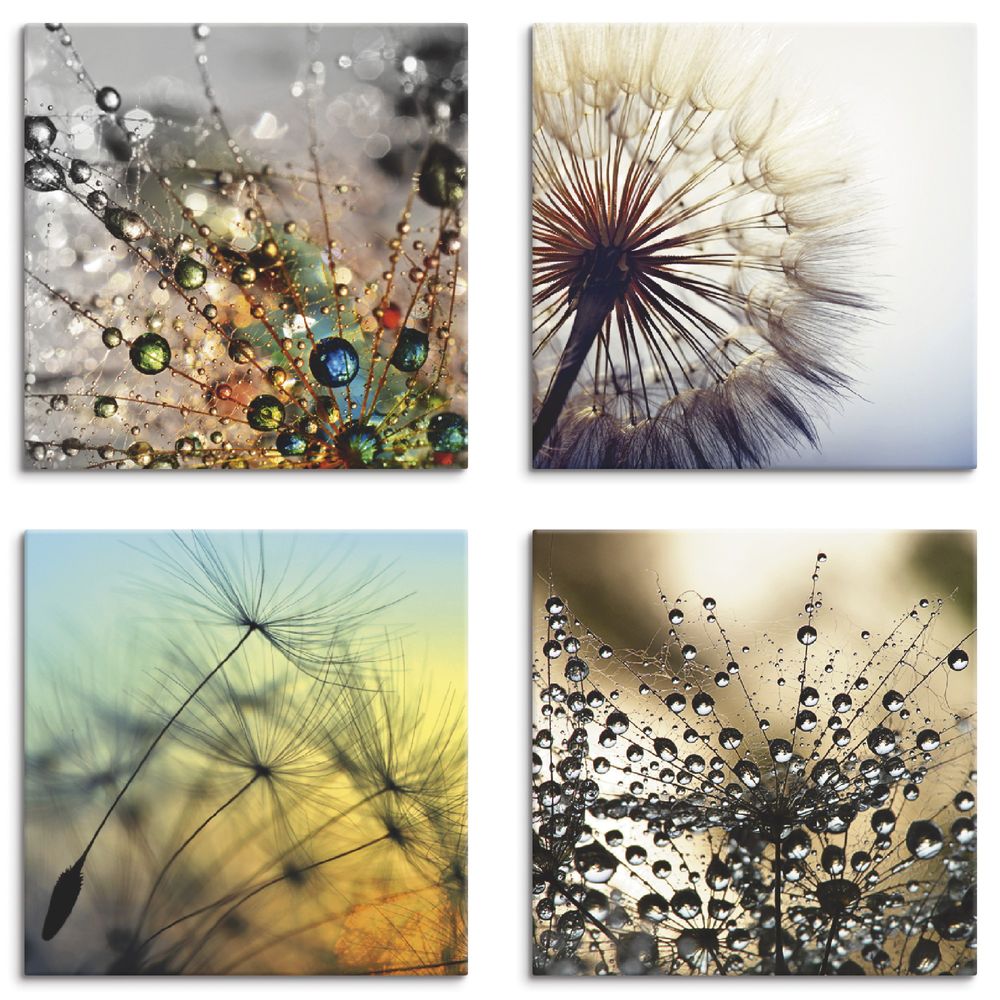 Bilder Drucke Leinwand Bild Wunderschone Abstrakte Lowenzahn Blumen Pusteblume Wandbild Deko Mobel Wohnen Blowmind Com Br