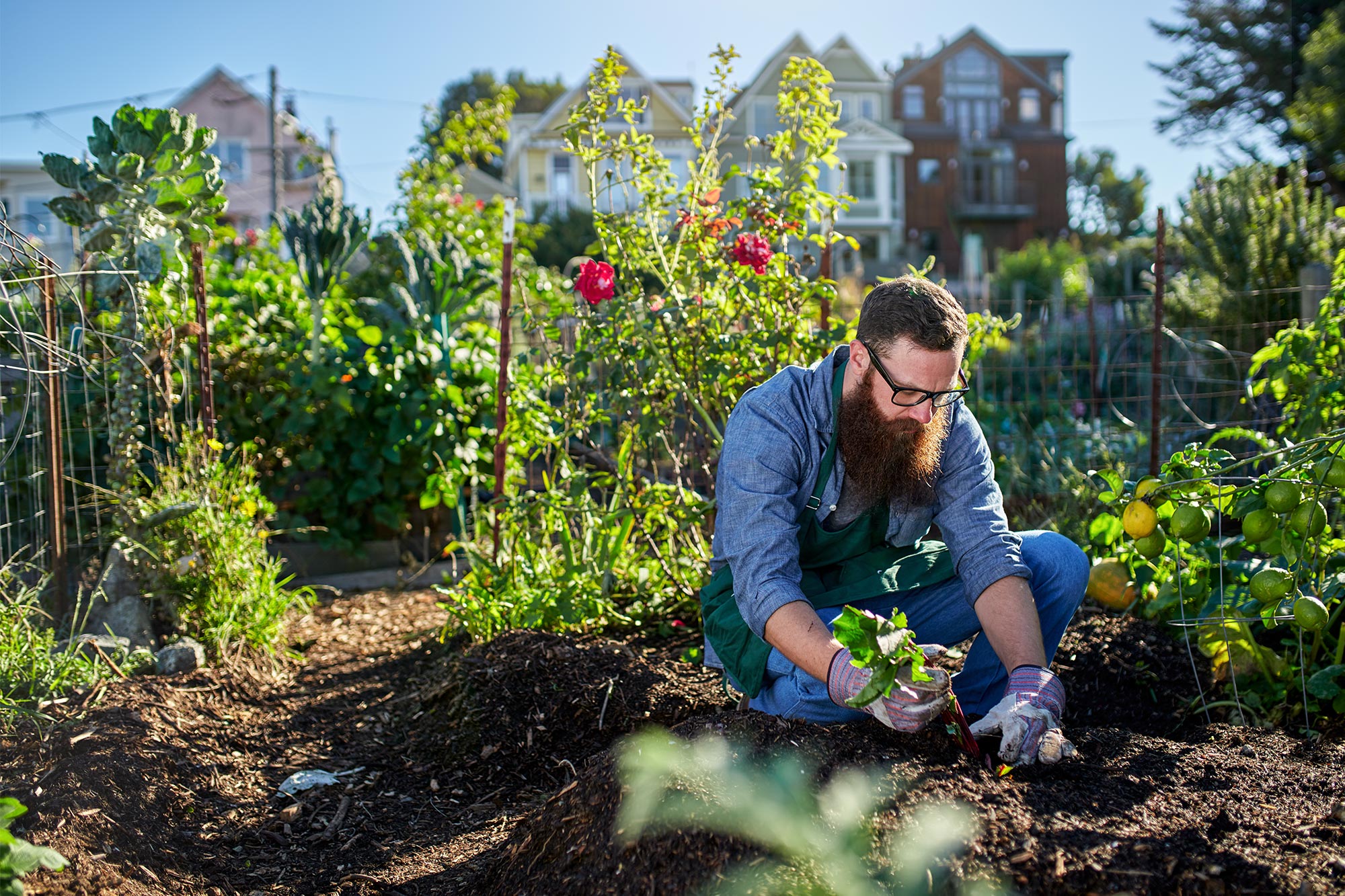 Gemüsegarten anlegen