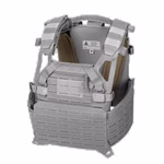 PC-SPCP-NLN-z1.jpg