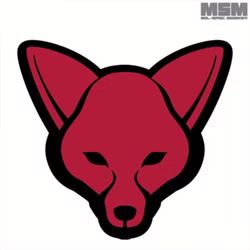 fox-head.jpeg fox-head.jpeg