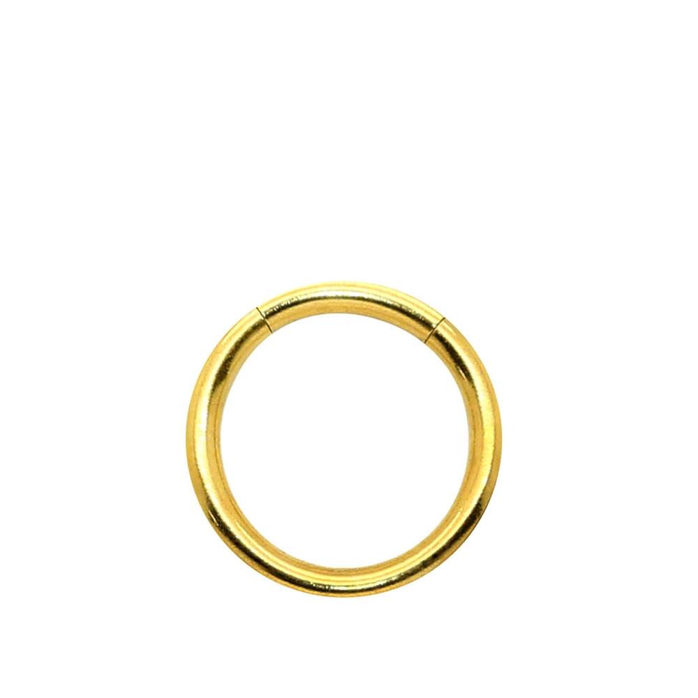 Segment Ring Piercing Ø1,2mm Lippen Brust Ohr Universal Nasen-Ring Helix Tragus - Picture 13 of 23