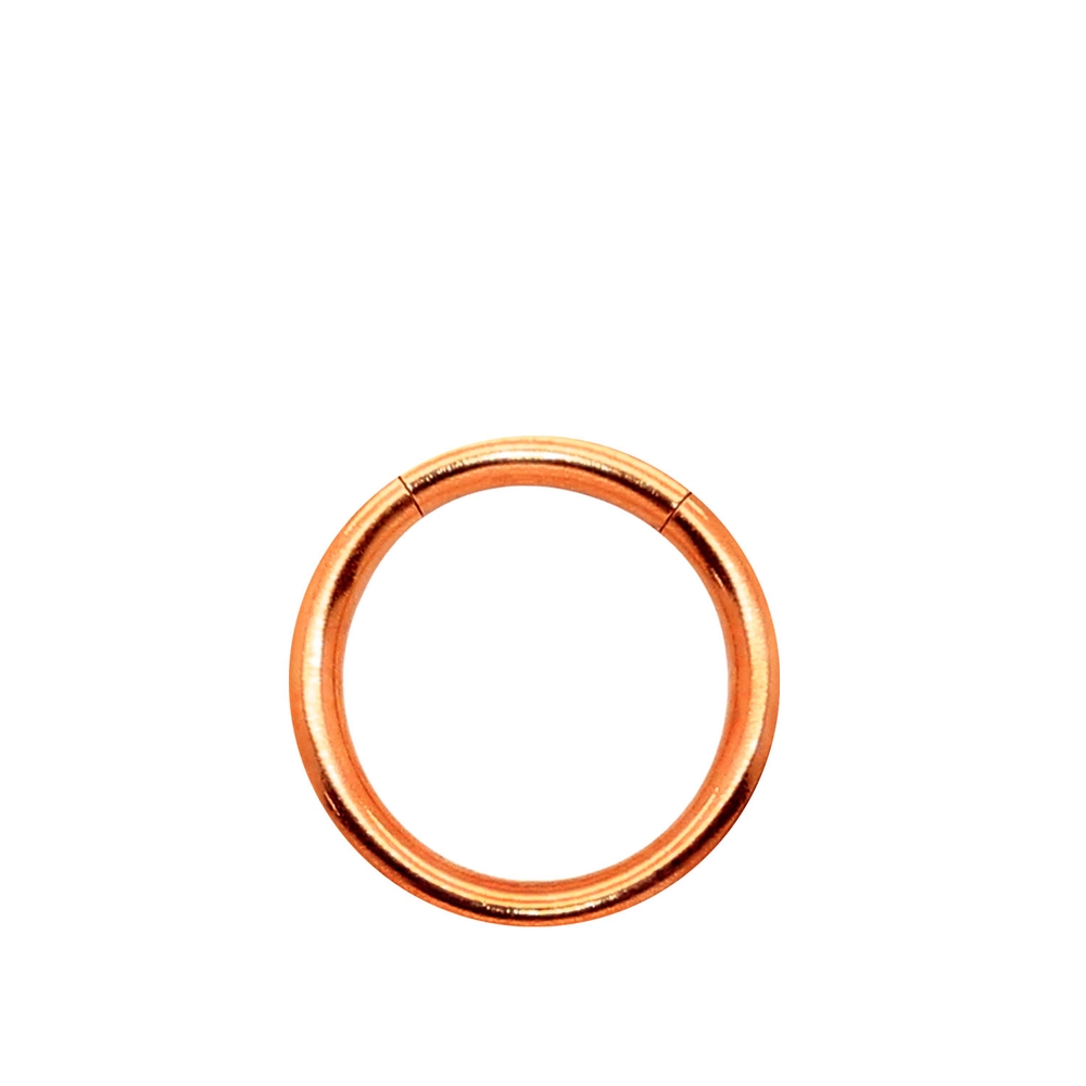Segment Ring Piercing Ø1,2mm Lippen Brust Ohr Universal Nasen-Ring Helix Tragus - Picture 17 of 23