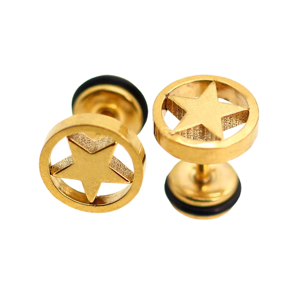 2 Edelstahl Fakeplugs Ohrstecker Fake Plug Spirale Stern 6 - 11mm Reißverschluss - Bild 14 von 15