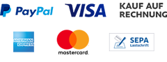 PayPal PLUS