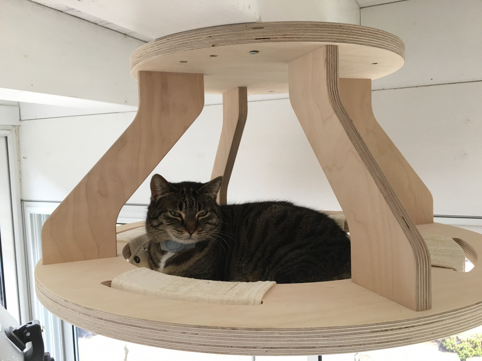 Catwalk Katzenmöbel: Luxus und Komfort für unsere geliebten Vierbeiner - Deckenelemente 2189 Haengematte Simba