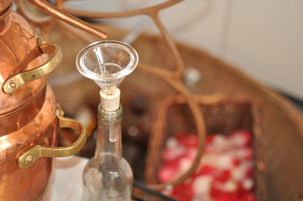 Atherische Ole Selbst Herstellen Ohne Destille Ätherische Öle selbst herstellen Rezepte, Tipps & Tricks