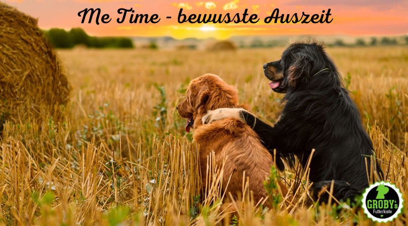 Bewusste Auszeit mit Hund – Raus aus dem Alltagsstress
