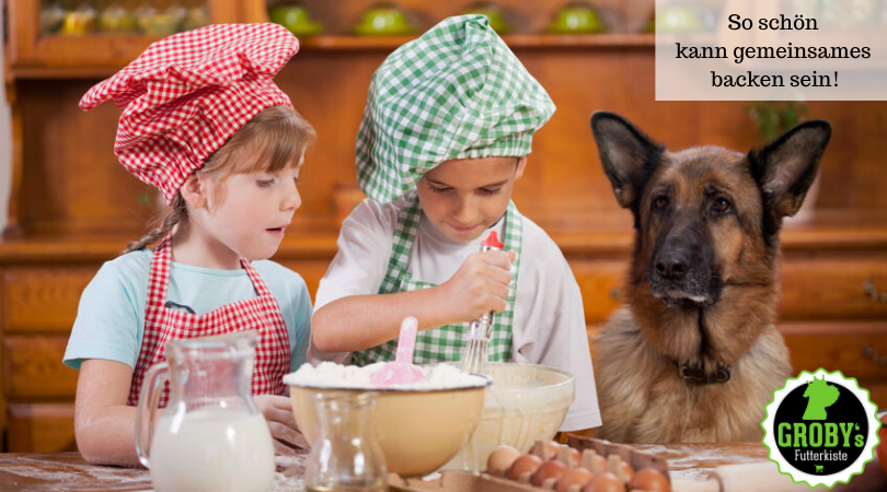 DIY individuelle Hundekekse – Leckerli ganz einfach selbst backen