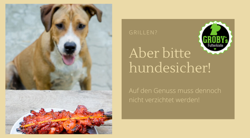 Grillen mit Hund - Gefahrlos und sicher