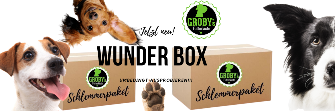 Grobys Snack Box