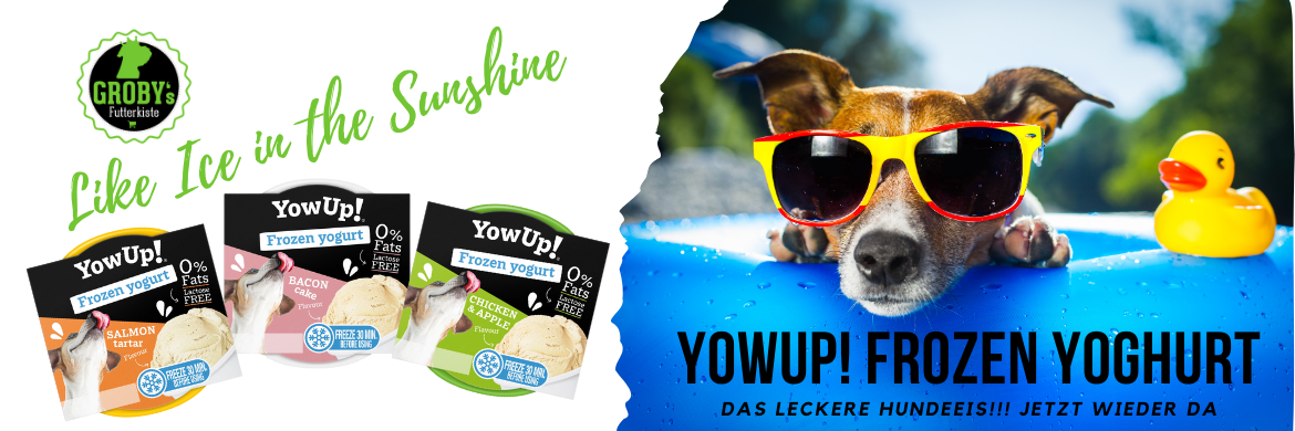     YowUp! Frozen Joghurt Hundeeis