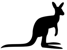 Kauartikel vom Känguru