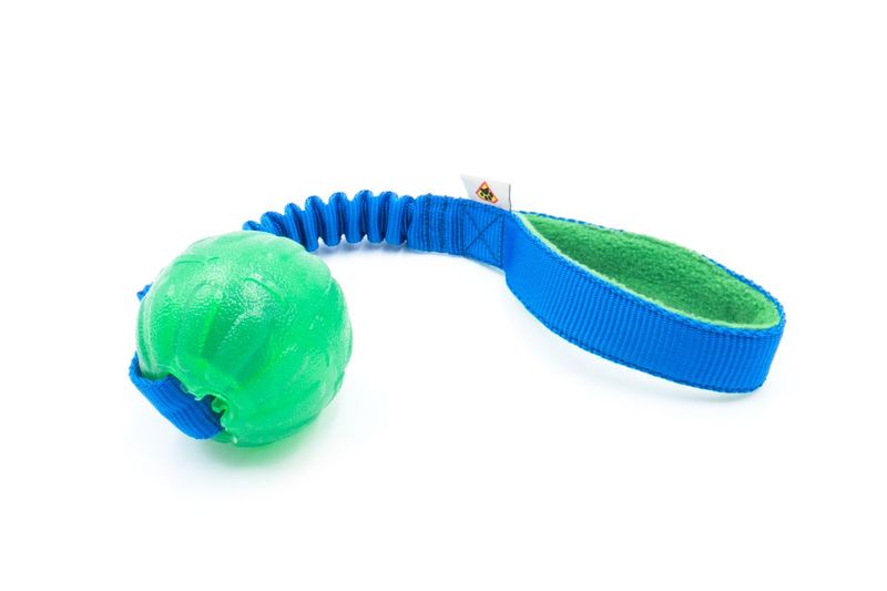 Treat Dispensing Chew Ball 7 cm mit Bungee-Seil